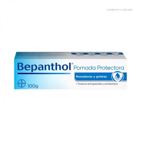 BEPANTHOL POMADA PROTECTORA 100 GR.